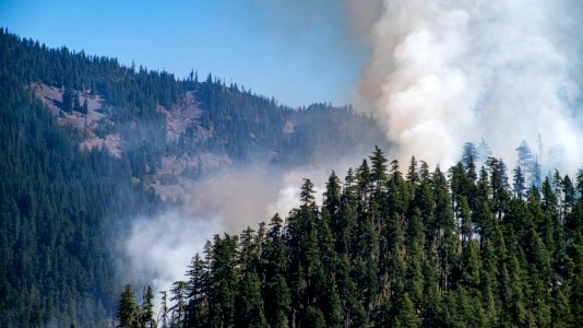 Beachie Creek Fire Billowing Smoke from within a Canyon Willamette National Forest photo