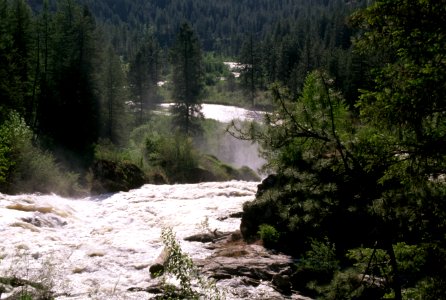 Mill Creek, Colville National Forest