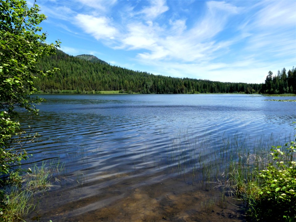 Big Meadow Lake Campground water ripple June 2020 by Sharleen Puckett