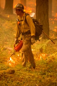 Firefighter, Umpqua National Forest Fires, 2017