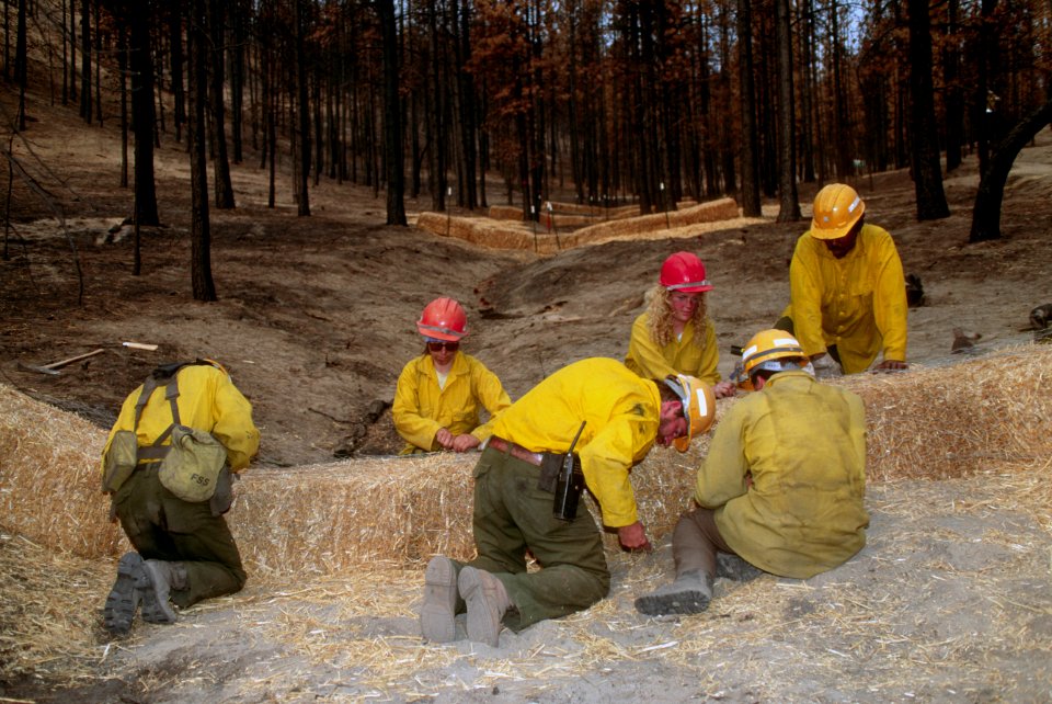 BAER Burned Area Emergency Response-3.jpg