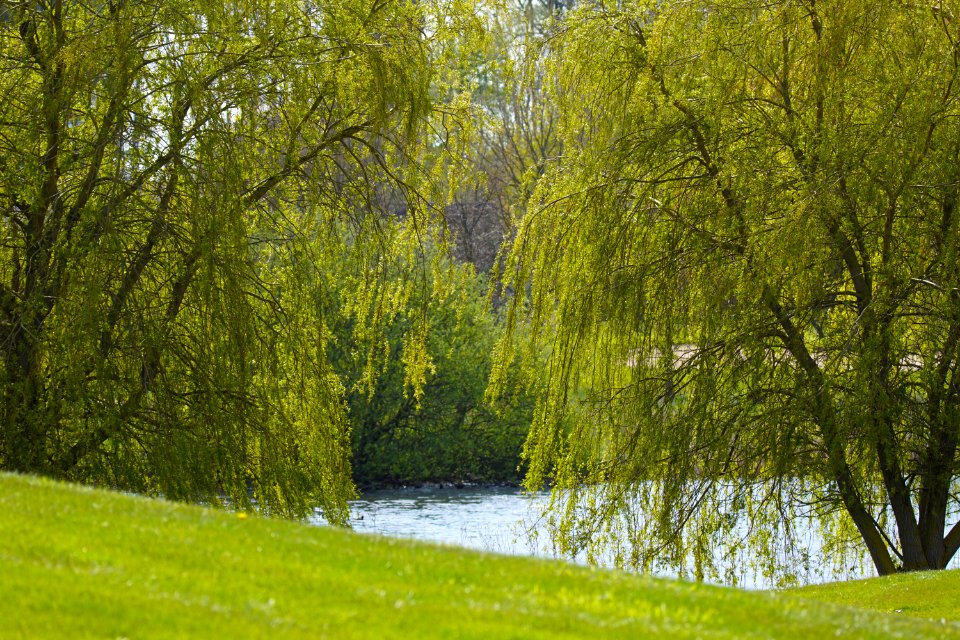 Frühling