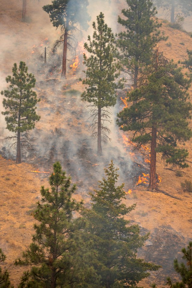 Careful tactical firing achieving low intensity burn around a home