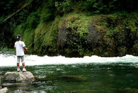 Recreation Fishing Clackamas River Mt Hood National Forest photo