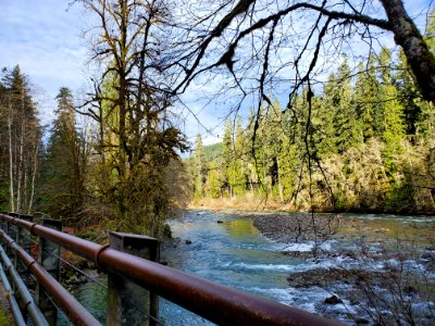 Sauk River near the Clear Creek confluence. Photo by Anne Vassar December 3, 2020.