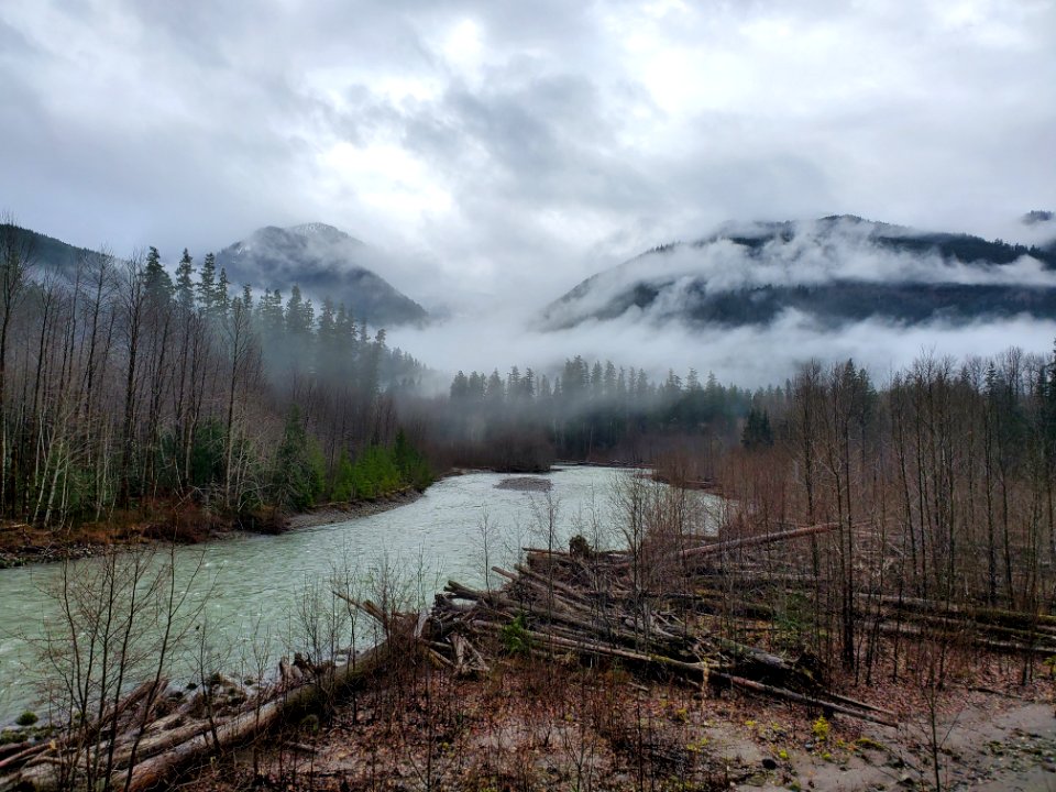Suiattle River, Mt. Baker-Snoqualmie National Forest. Photo by Anne Vassar December 9, 2020.