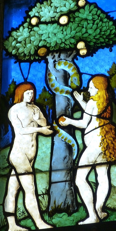 Window stained glass stained glass window