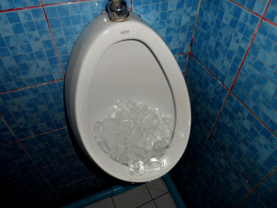 Ice cubes in the toilet