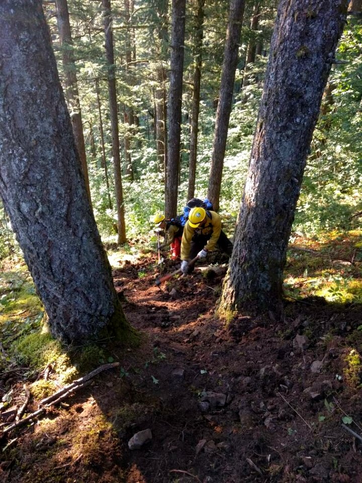 Crews dig a fire line.