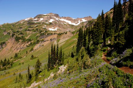 Along the Pacific Crest Trail, looking towards Hawkeye Point, Goat Rocks Wilderness on the Gifford Pinchot National Forest