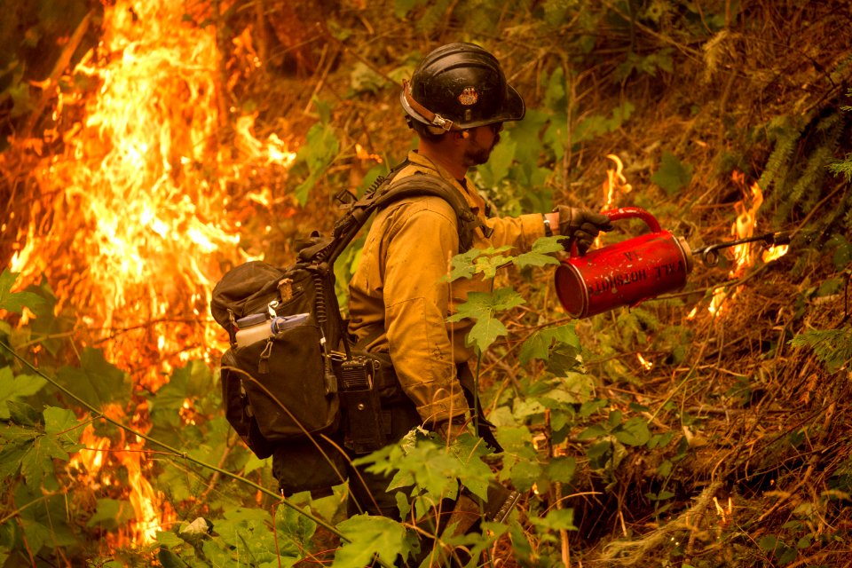Firefighters, Umpqua National Forest Fires, 2017