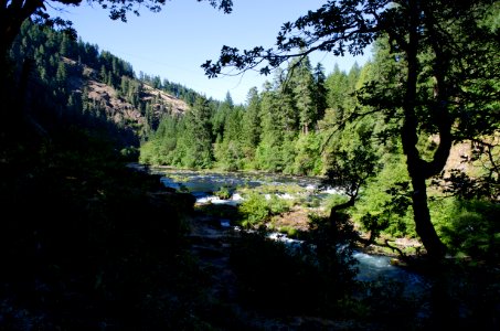 Recreation on the "Wild and Scenic" north Umpqua River photo