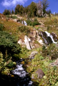 Wildflowers and Waterfall, Gifford Pinchot National Forest.jpg
