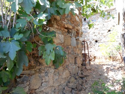 Alona & Polystipos, Cyprus