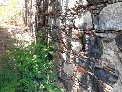 Alona & Polystipos, Cyprus