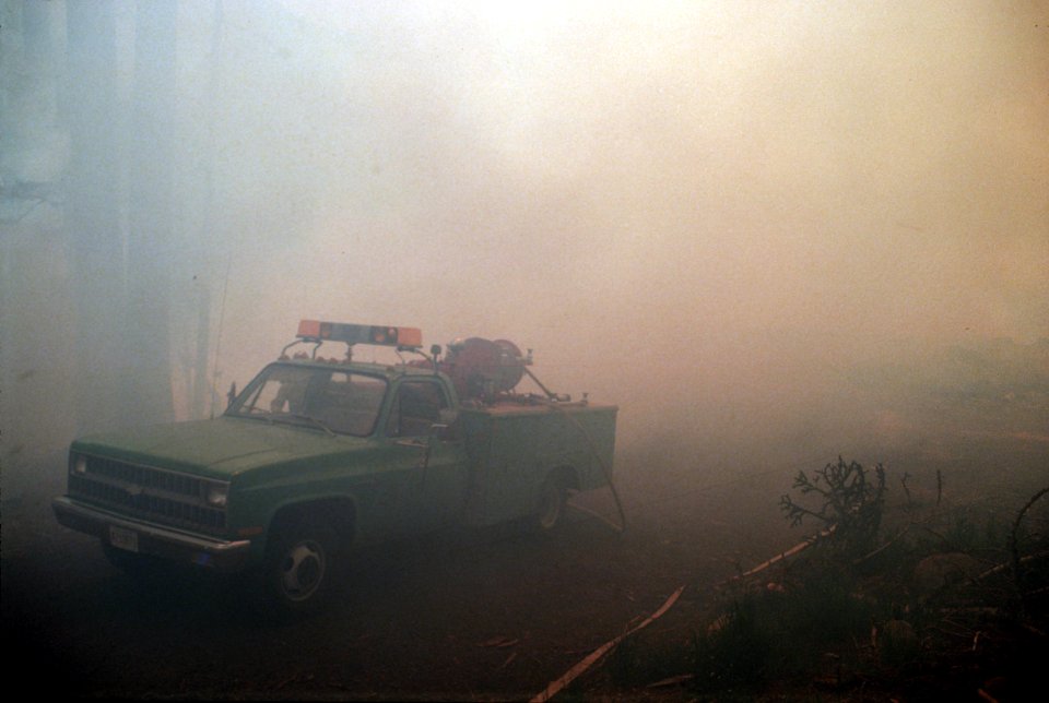 Logging slash burning-5.jpg