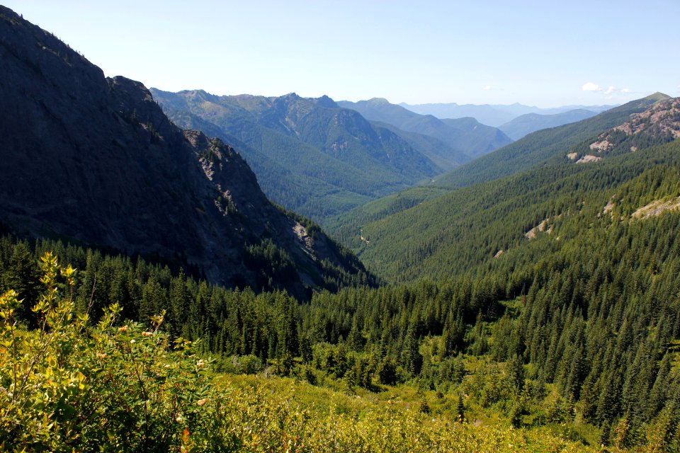 View from Juniper Ridge Trail (261) on the Gifford Pinchot National Forest