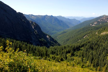 View from Juniper Ridge Trail (261) on the Gifford Pinchot National Forest