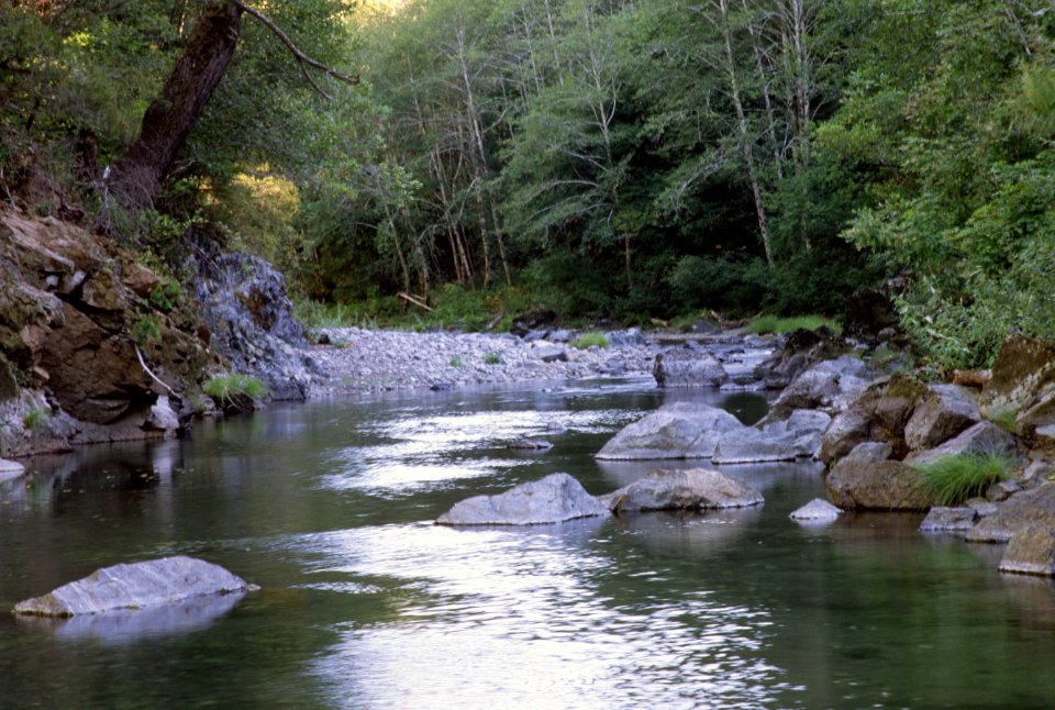 Streamside Views, Rogue River-Siskiyou National Forest.jpg