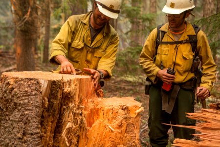 Firefighters, Umpqua National Forest Fires, 2017