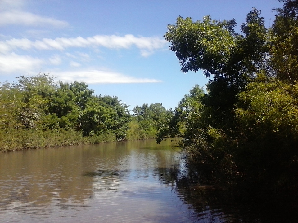Heat landscape river