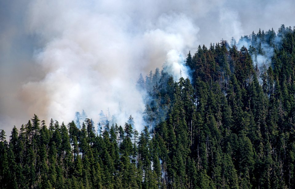 Beachie Creek Fire Aerial Shot of Smoke Willamette National Forest