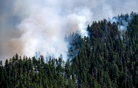 Beachie Creek Fire Aerial Shot of Smoke Willamette National Forest