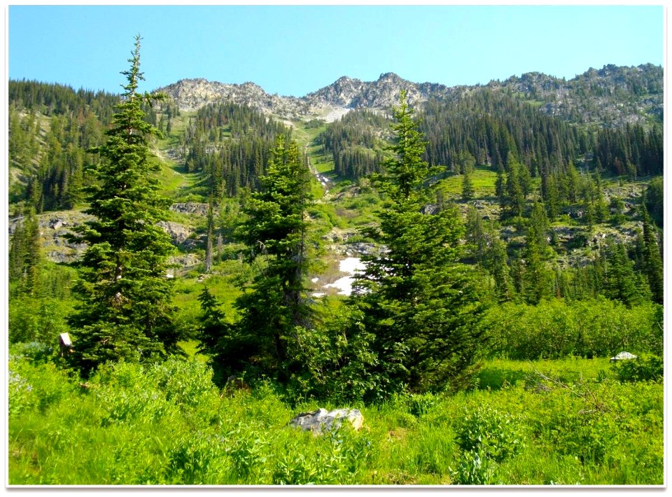 Entiat Meadows EntiatRD by PatrickHerman 2012
