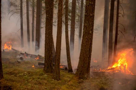 wildfire-emitting-smoke-middle photo