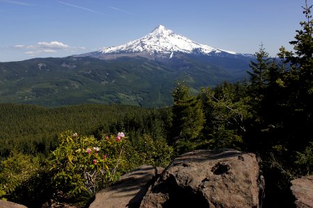 Mount Hood from Lost Lake Butte on the Mt. Hood National Forest