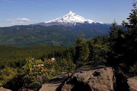 Mount Hood from Lost Lake Butte on the Mt. Hood National Forest photo