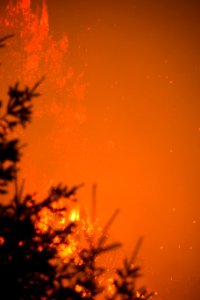 Umpqua National Forest Fires, 2017