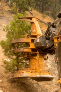 20180820 FS Okanogan KG 0558