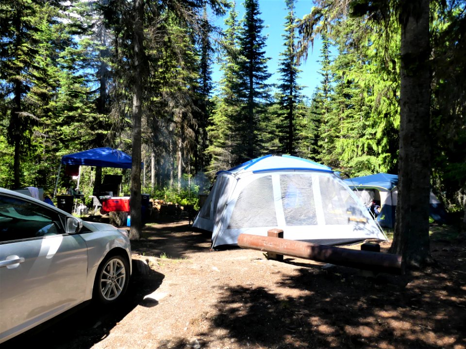 Colville NF Davis Lake June 2020 by Sharleen Puckett 8