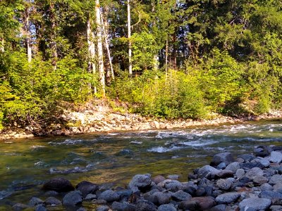Summertime Sauk River near Bedal Campground, Mt. Baker-Snoqualmie National Forest. Photo by Anne Vassar July 30, 2020. photo
