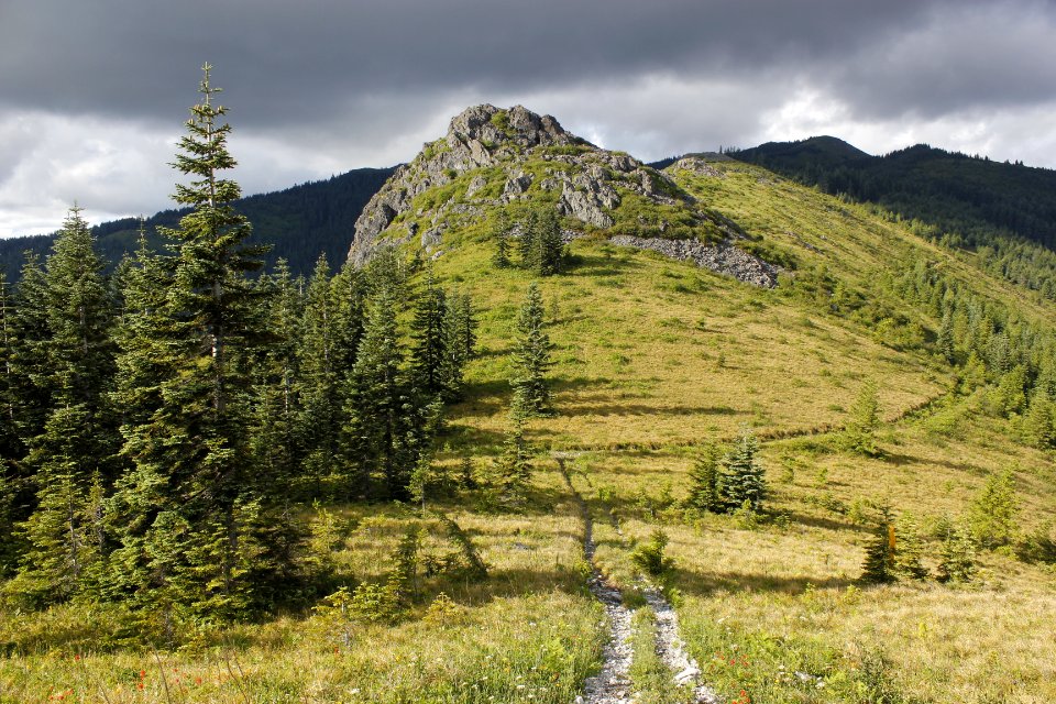 Along Ed's Trail (180A), near Silver Star Mountain on the Gifford Pinchot National Forest