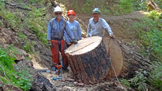 Pacific Crest Trail Association volunteers log out a portion of the still closed Eagle Creek Trail in July 2018, Columbia River Gorge NSA. Photo courtesy of PCTA.