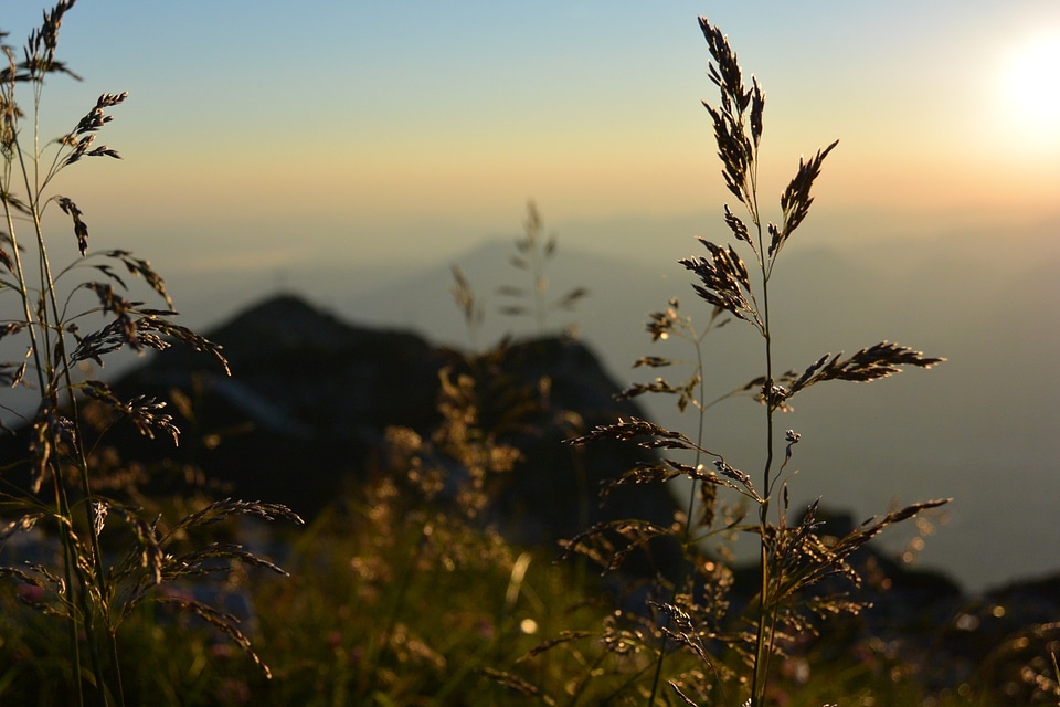 Austria alpine mountain