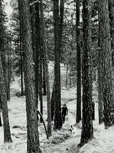 BicyclistCatherineWillardOnBobsTrailAtEchoRidgeAndDogOlly 2018-11-10 ByPaulWillard