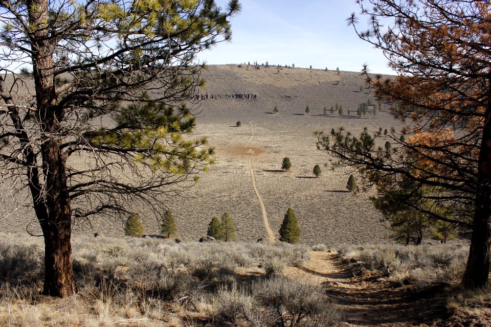 DES HoleintheGround2
