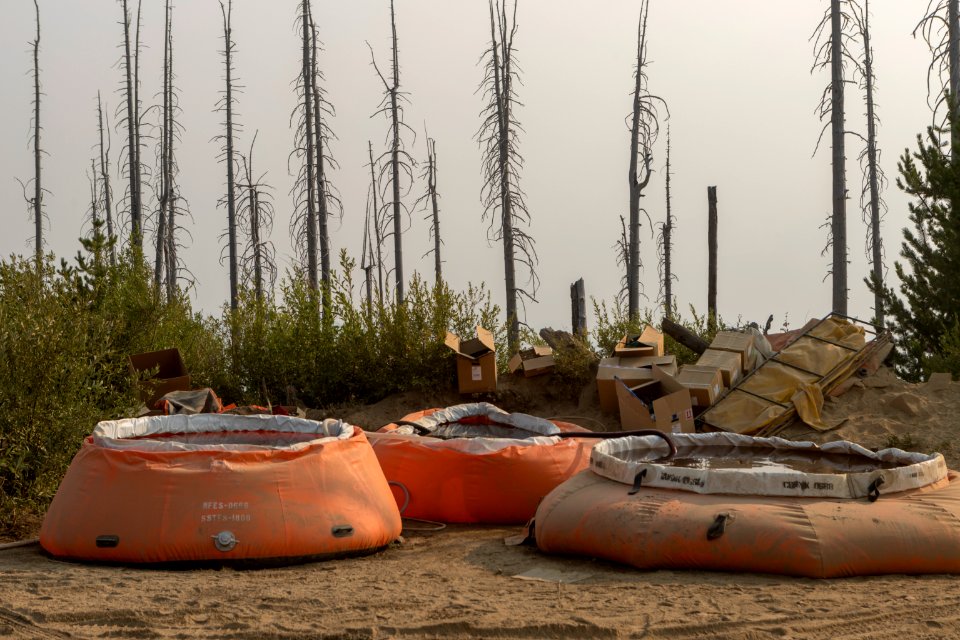 Pumpkins filled with water to plumb wireline