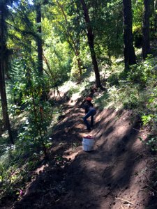 Northwest Youth Corps, Rogue River Siskiyou National Forest.JPG