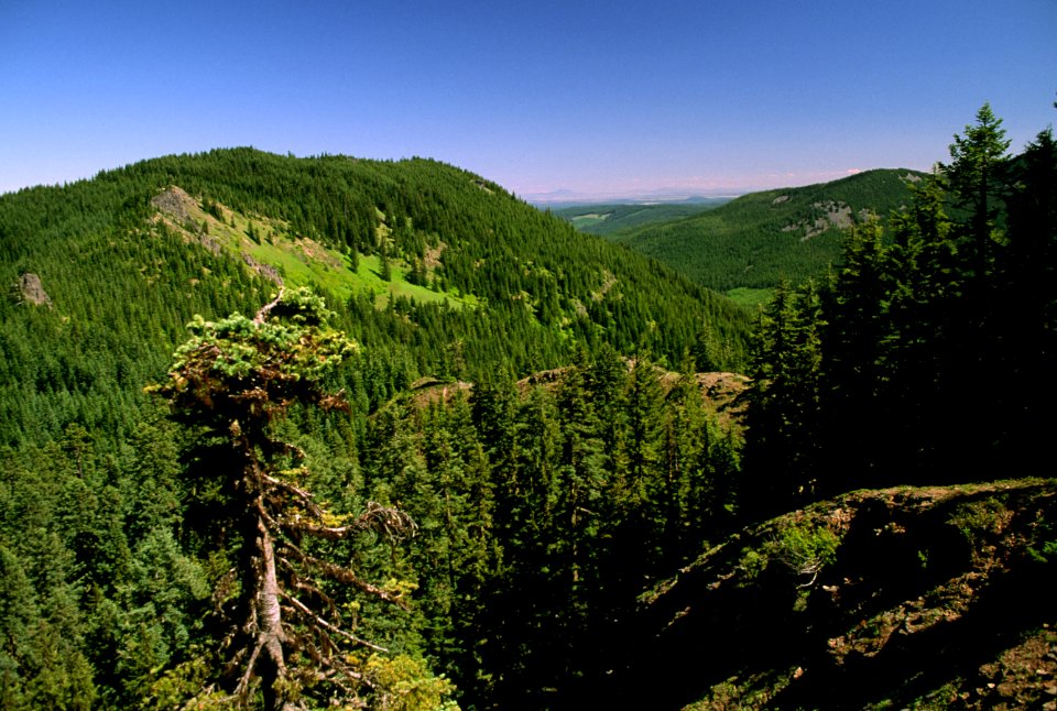 Barlow Butte Mt Hood National Forest.jpg