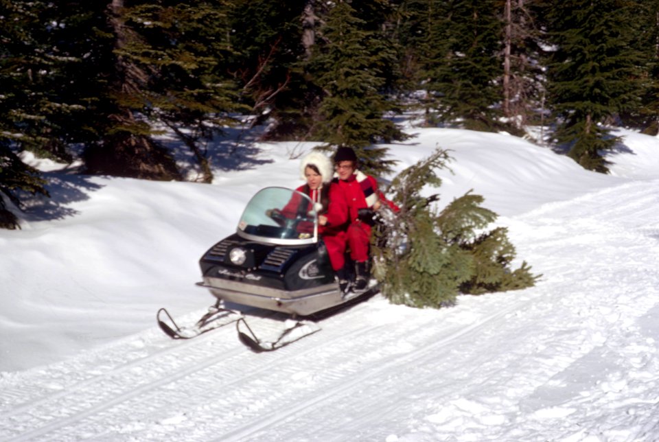 Mt Hood National Forest, Christmas tree cutting.jpg