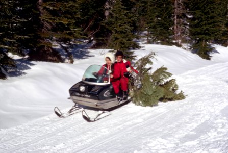 Mt Hood National Forest, Christmas tree cutting.jpg photo