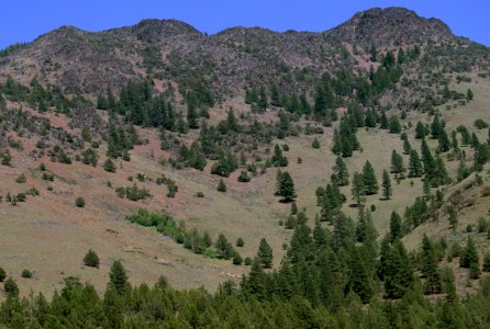 Aldrich Mountains, Malheur National Forest