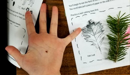 2018-Dec-Gess-Colville-EKIP-seed-discovery