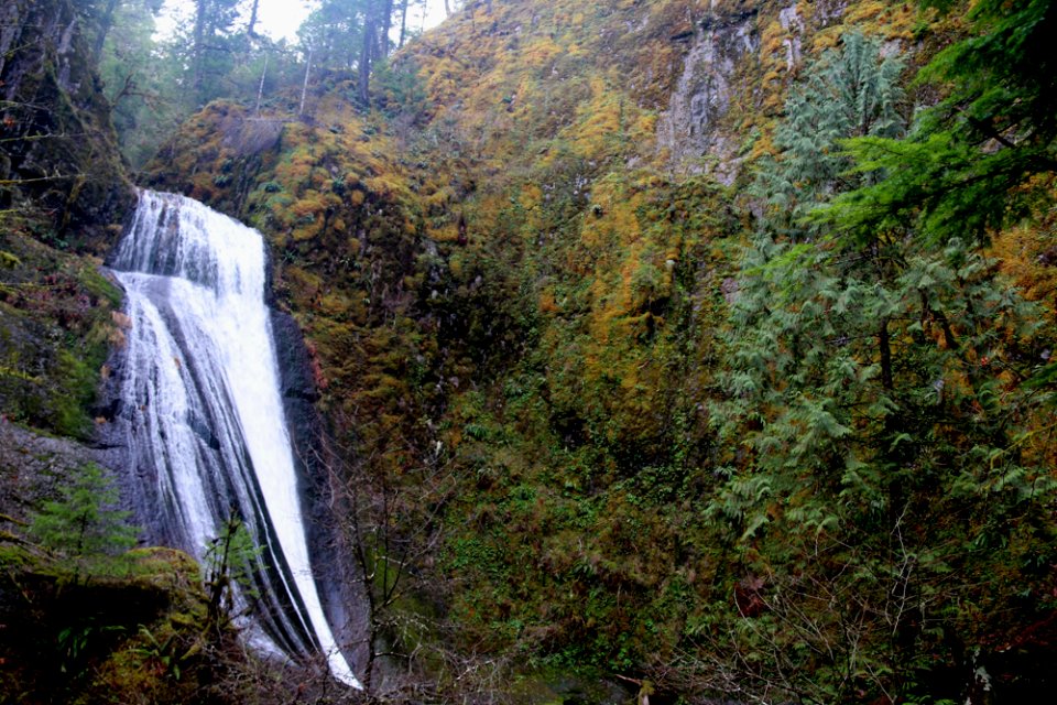 1-8-19-wolf-creek-falls-upper-ejpg 48801023631 o