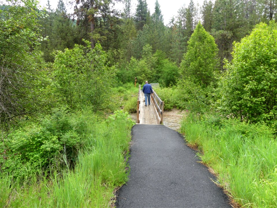 Colville NF log flume trail June 2020 by Sharleen Puckett 5
