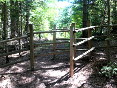 Colville NF Big Meadow Lake Trail fence June 2020 by Sharleen Puckett